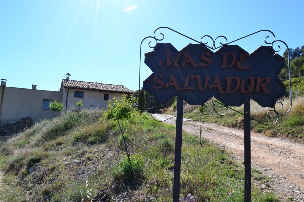 Mas De Salvador Villa Peñarroya de Tastavins Dış mekan fotoğraf