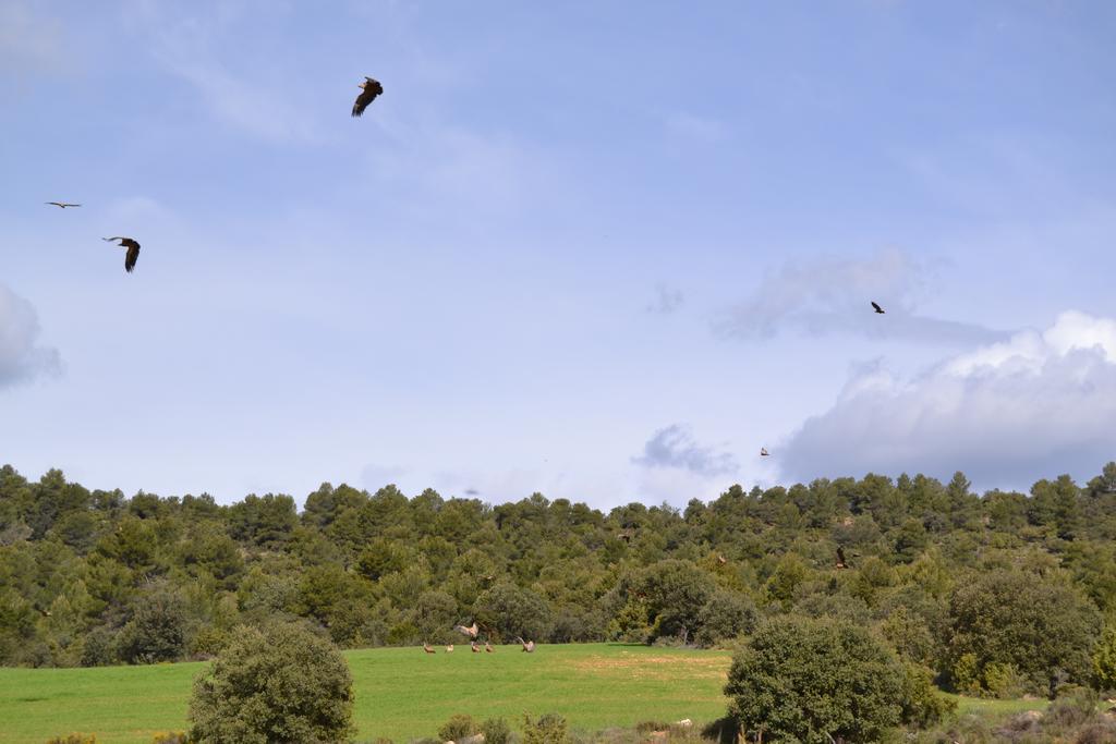 Mas De Salvador Villa Peñarroya de Tastavins Dış mekan fotoğraf